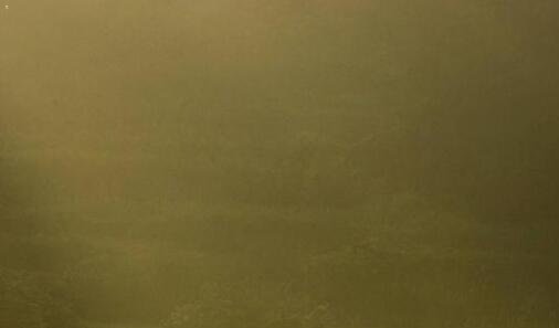 三jackfruit可数吗