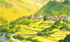 大众物流-大众0.6吨小货车