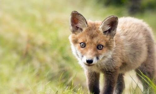 一辽宁科技大学研究生院