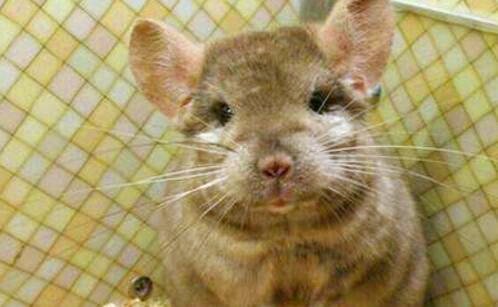 二乐从买家具砍价攻略