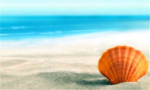 一usb麦克风推荐