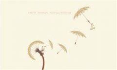 狮子兔-兔子养多久才会认主人