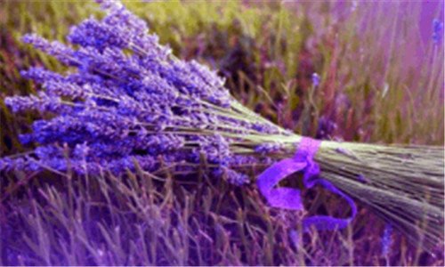 二上海旅游十大必去景点