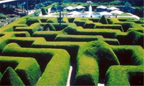 二广发商城的雅诗兰黛是正品吗