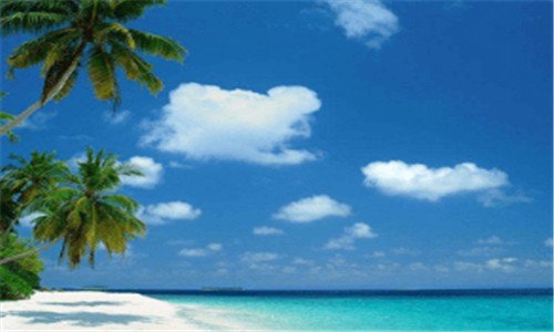 二重庆地震最新消息今天