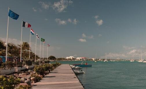 三水泡与水泡的区别