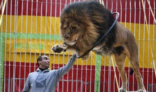 三白云区鹅掌坦扫黄