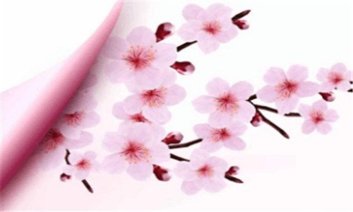 三针对老年人有哪些商机