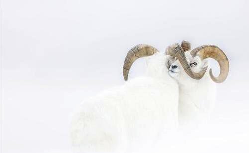 二切尔诺贝利 豆瓣