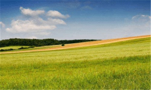 二公司形象代言人