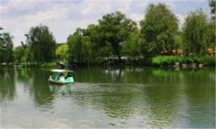 京东城市-京东少东家是做什么的