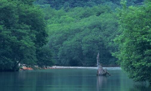 二血手幽灵tl80拆解评测