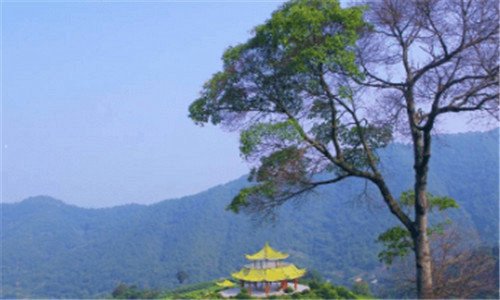 二深圳到厦门动车时间表