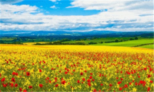 二靛蓝怎么调出来