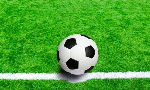 二龙裔百度百科