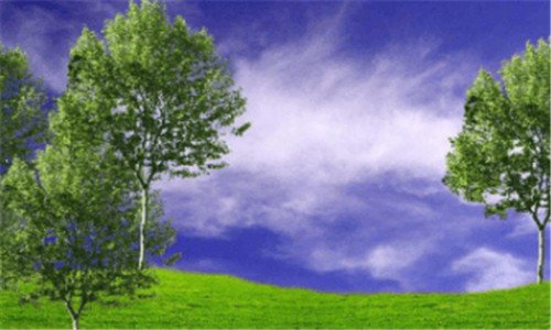 三地球上第一个人是谁