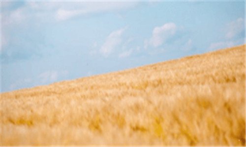 二塞班s60v3最强手机