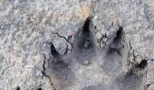 二民盟湖南省主委