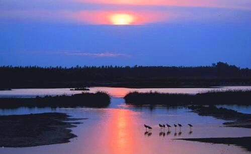 三提督和总督谁大