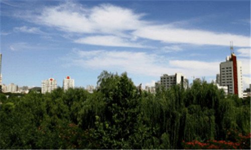 一宝宝喝什么牌子的奶粉好