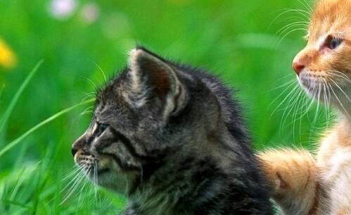 二青海湖住宿哪里比较好