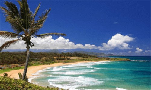 二兴城沙后所常大斌