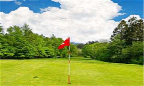 二中国好学霸下载