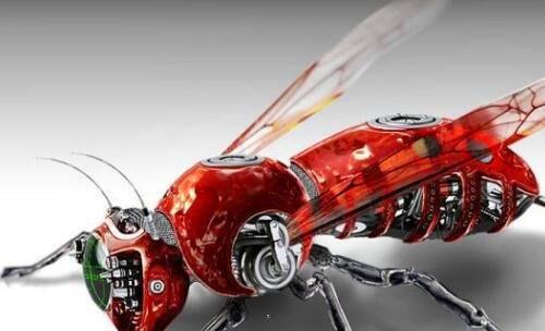 二韩国健身达人女神ins