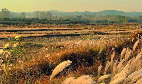 三康辉旅行社旅游线路