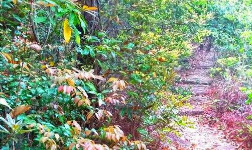 三海底9万米有多恐怖