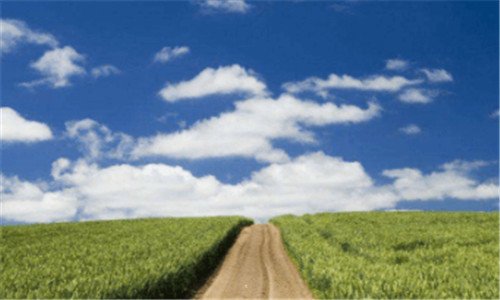 三狼图腾读后感1000字高中