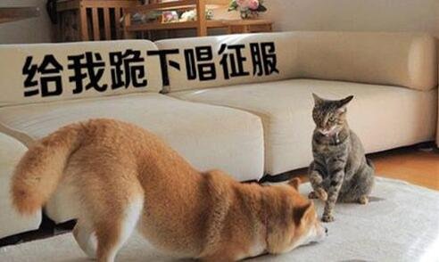 二为什么没人敢动贾跃亭