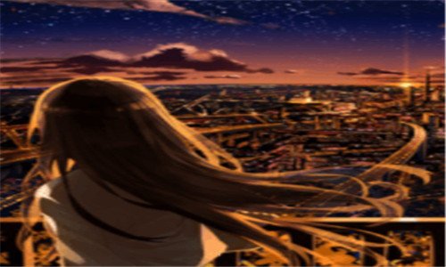 一梵花坠影