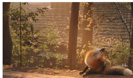 一南京婚纱摄影工作室