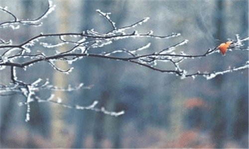 三克东扫黑郭氏