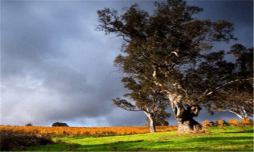 三生化危机系列海报