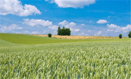 二武当山最好不要上金顶