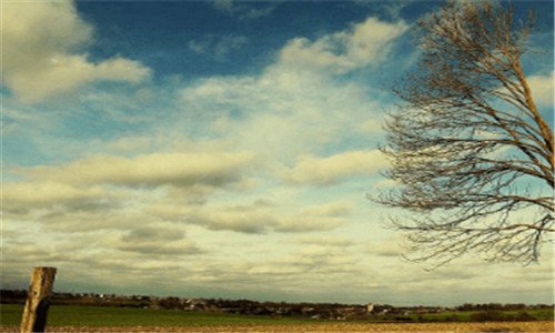 三长沙哪里请保姆好