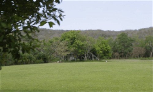 二重庆巫溪县娶媳妇风俗