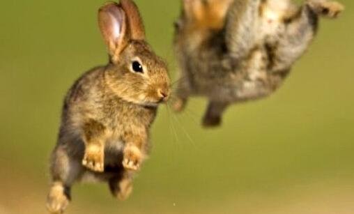 三不顾一切的爱一个人