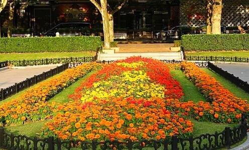 一处女座的旅途