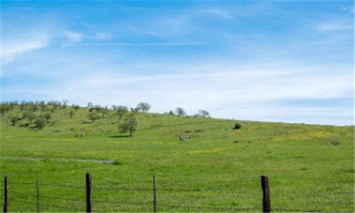 三24号庆元杀人案