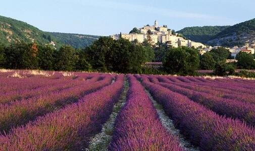 二老人之恋评价