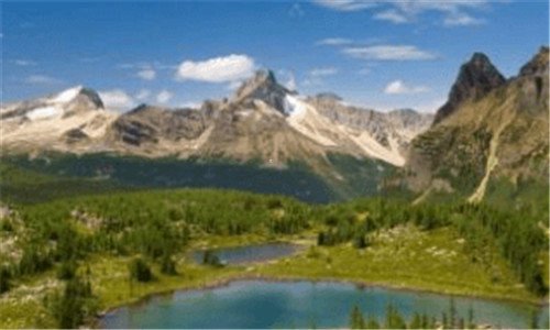 二模特的摩卡是什么样子的