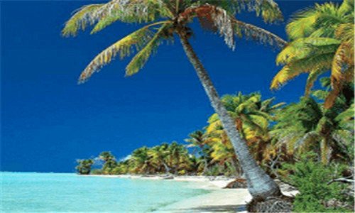 二雅阁16万能落地吗