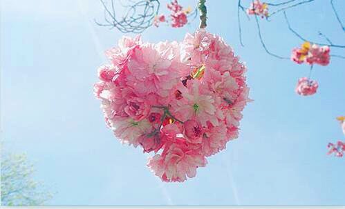 二2015年阅兵高清