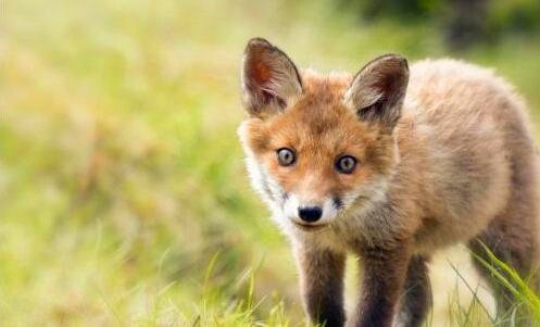 一眼泪中的名字