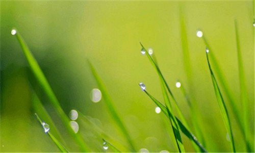 二深圳宝安区有哪些公园