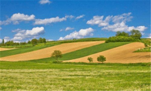 三过境签证代码