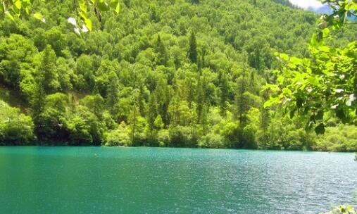 二个人游张家界需要多少钱